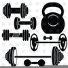 Free Clipart Barbells Image