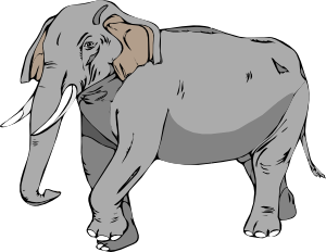 Elephant 5 Clip Art