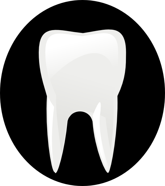 Tooth Molar Clip Art at Clker.com - vector clip art online, royalty