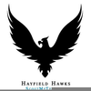 Clipart Hawk Image