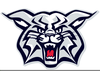 Free Wildcat Football Clipart Image