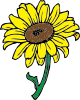 Sunflower Clip Art