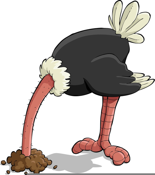 List 104+ Background Images Ostrich With Head In Sand Gif Latest