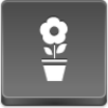 Pot Flower Icon Image