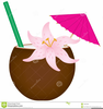 Tropical Drink Clipart Images Image