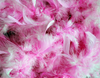 Pink Feathers Background Image