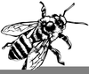Honey Bee Clipart Black And White Image