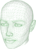 Human Head Clip Art