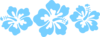Hibiscus-blue-three-together Clip Art