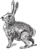 Rabbit Clip Art