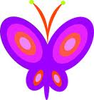 Butterfly Image