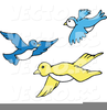 Flying Bluebird Clipart Image