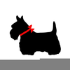 Scottish Terrier Clipart Image