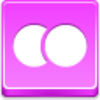 Flickr Icon Image