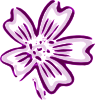 Flower Of Chicora Clip Art