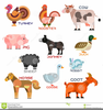 Farm Animal Clipart Cartoon Sheep Horse Image