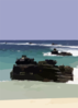 Armored Amphibious Vehicles (aav) Land On Blue Beach Vieques. Clip Art