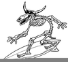 Clipart Skeleton Image