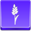 Free Violet Button Wheet Image