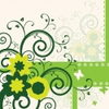778 1 Image