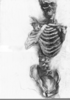 Skeleton Skull Drawing Image