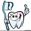 Tooth Brush Clipart Image