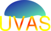 Uvas Clip Art
