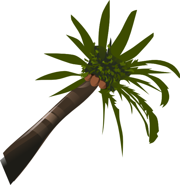 A Coconut Palm Clip Art at Clker.com - vector clip art online, royalty