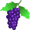 Grapes Vine Clip Art