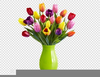 Clipart Tulips Spring Flowers Image