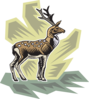Deer - Small Clip Art