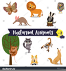 Clipart Of Nocturnal Animals Image
