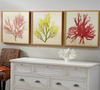 Coral Prints Framed Image