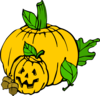 Pumpkins (colour) Clip Art