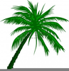Free Clipart Palm Tree Image