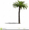 Trees Black And White Clipart Image