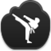 Karate Icon Image