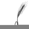 Wheat Cliparts Image