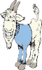 Goat In A Sweater Clip Art