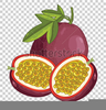 Clipart Fruit Basket Image