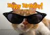 Happy Birthday Cat Image