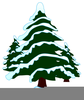 Snow Covered Evergreen Tree Clipart Image