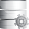 Database Process Image