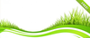 Free Vector Clipart Of Grass Image