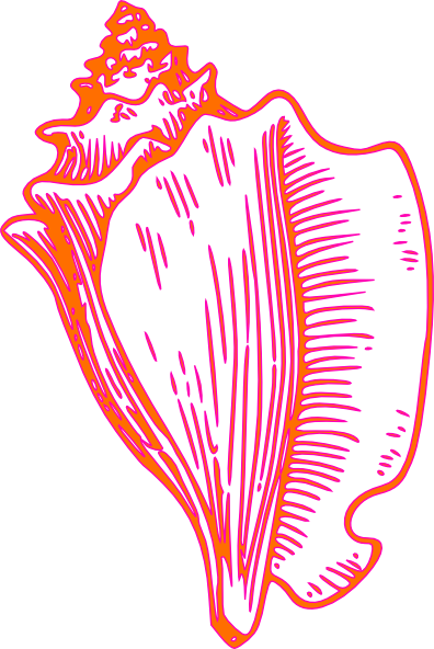 Pink Yellow Conch Shell 2 Clip Art at Clker.com - vector clip art