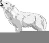 Arctic Wolf Clipart Image