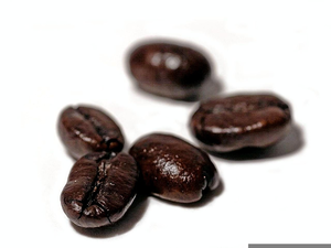 Free Clipart Coffee Bean Image