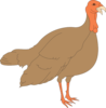 Turkey Clip Art