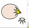 Free Chick Hatching Clipart Image