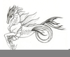 Hippocampus Mythology Drawings Image